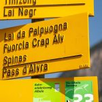 Attività divertenti per tutta la famiglia